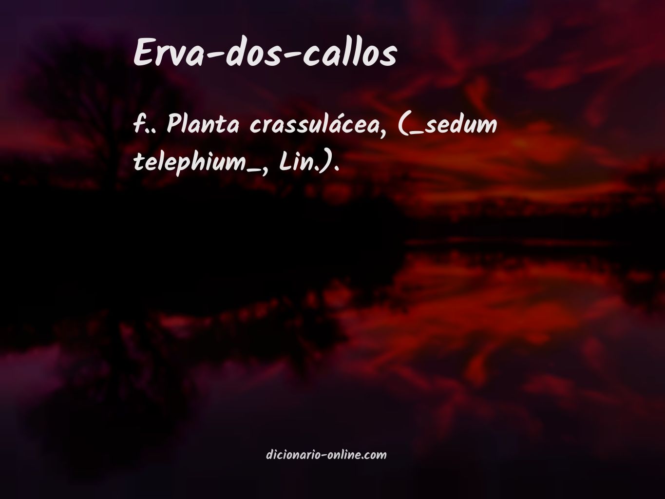 Significado de erva-dos-callos