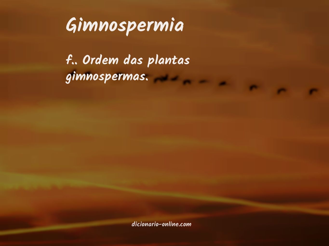 Significado de gimnospermia