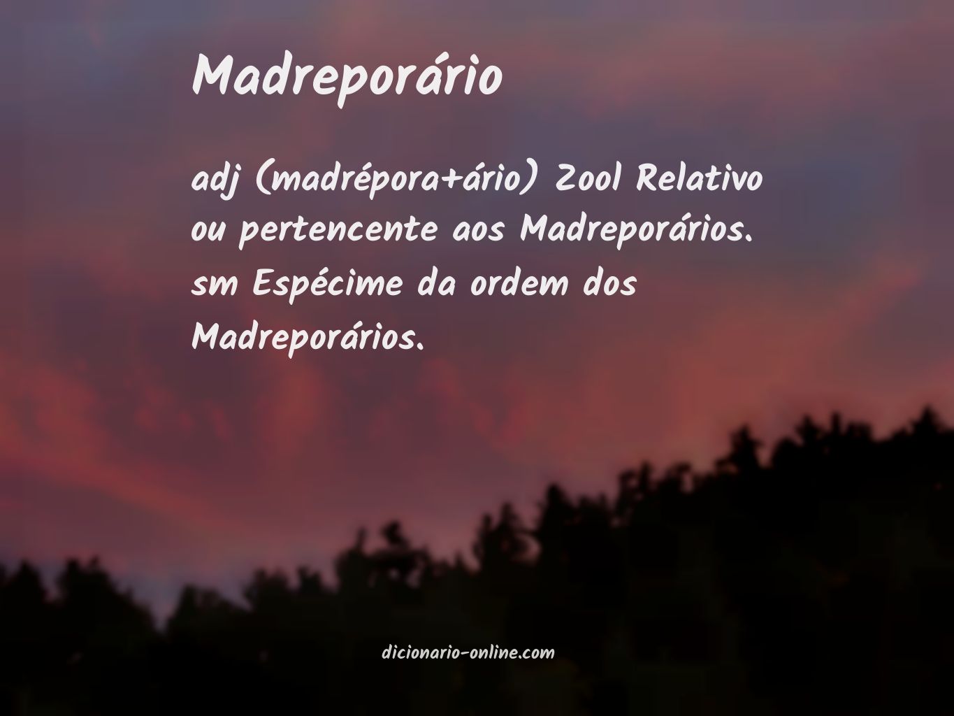 Significado de madreporário