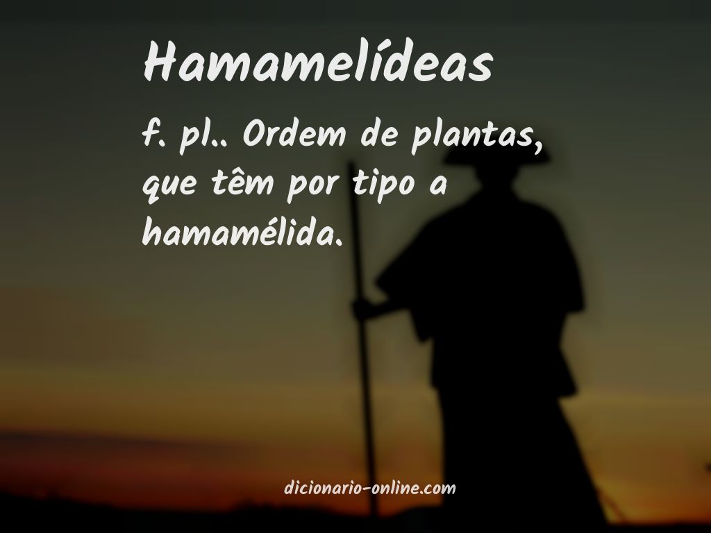 Significado de hamamelídeas