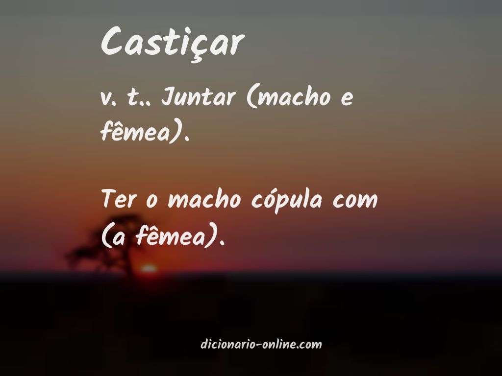 Significado de castiçar