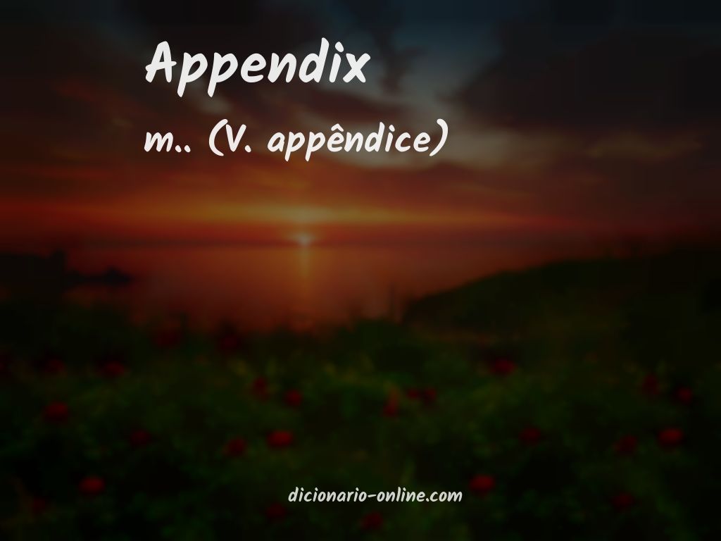 Significado de appendix