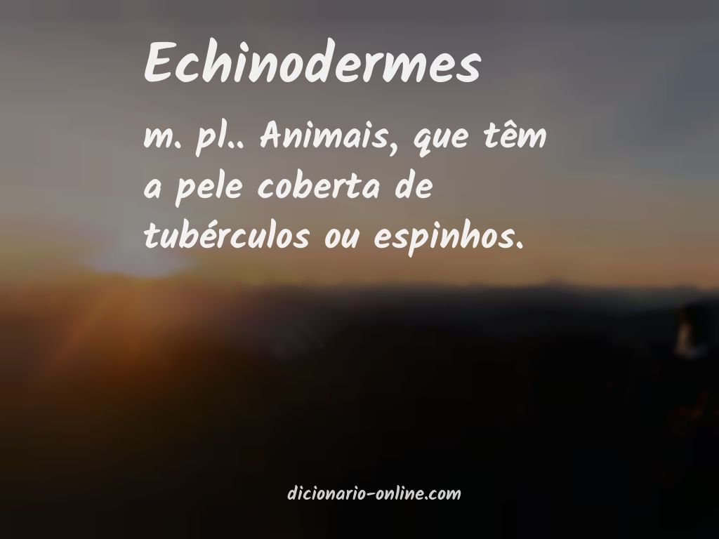 Significado de echinodermes