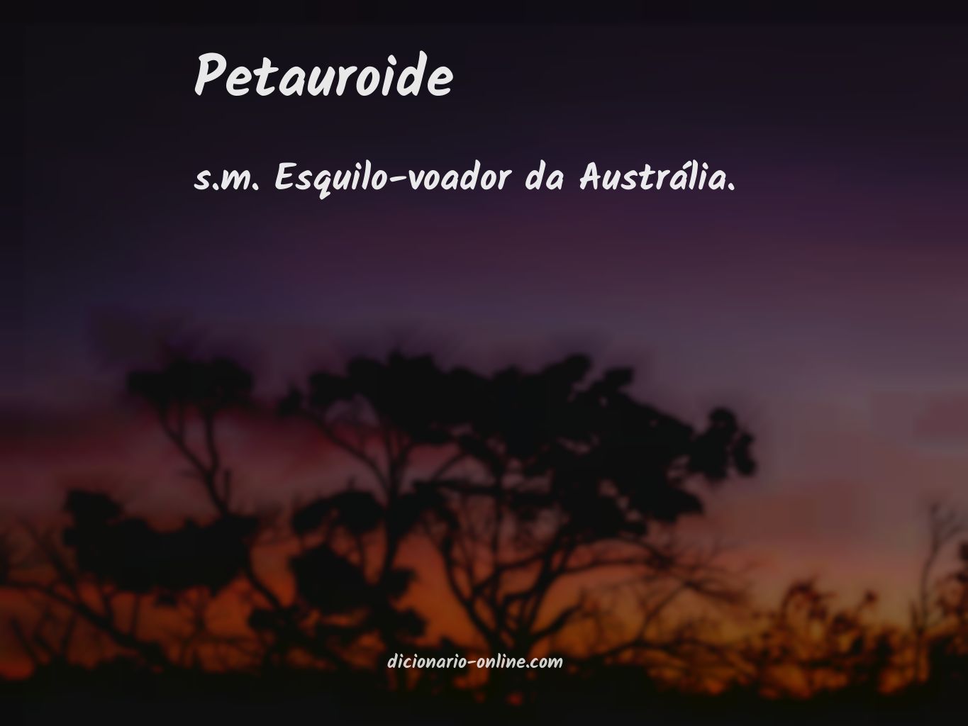 Significado de petauroide