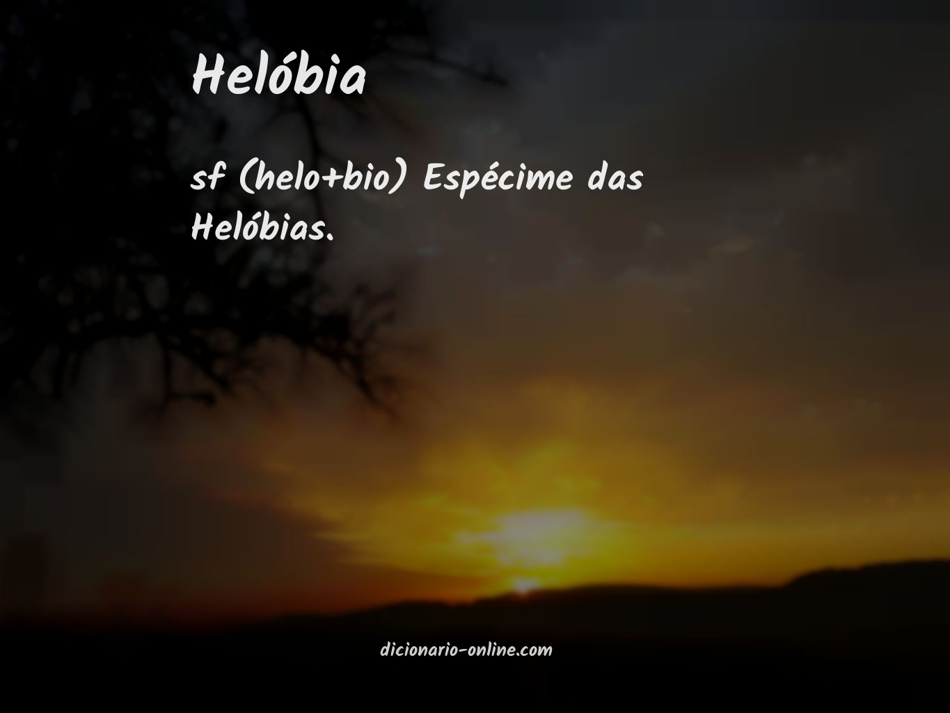 Significado de helóbia