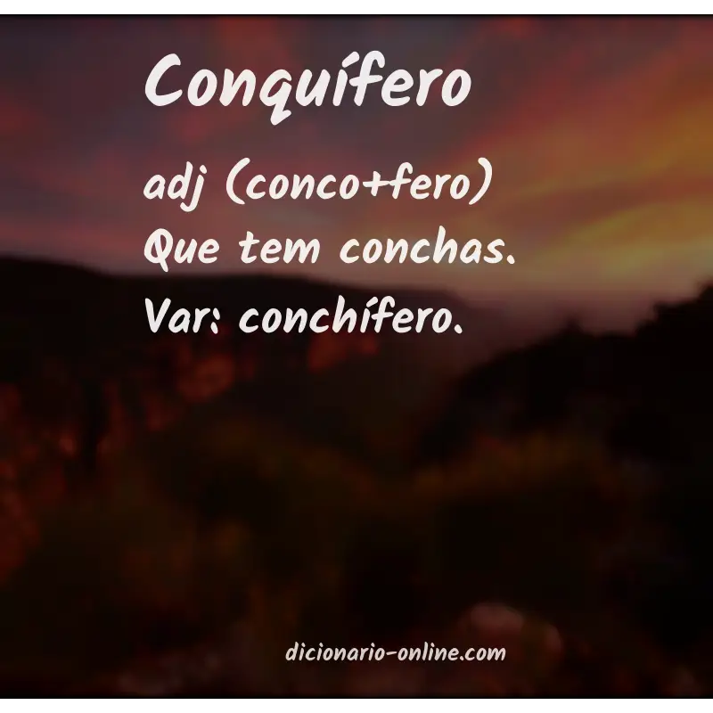 Significado de conquífero