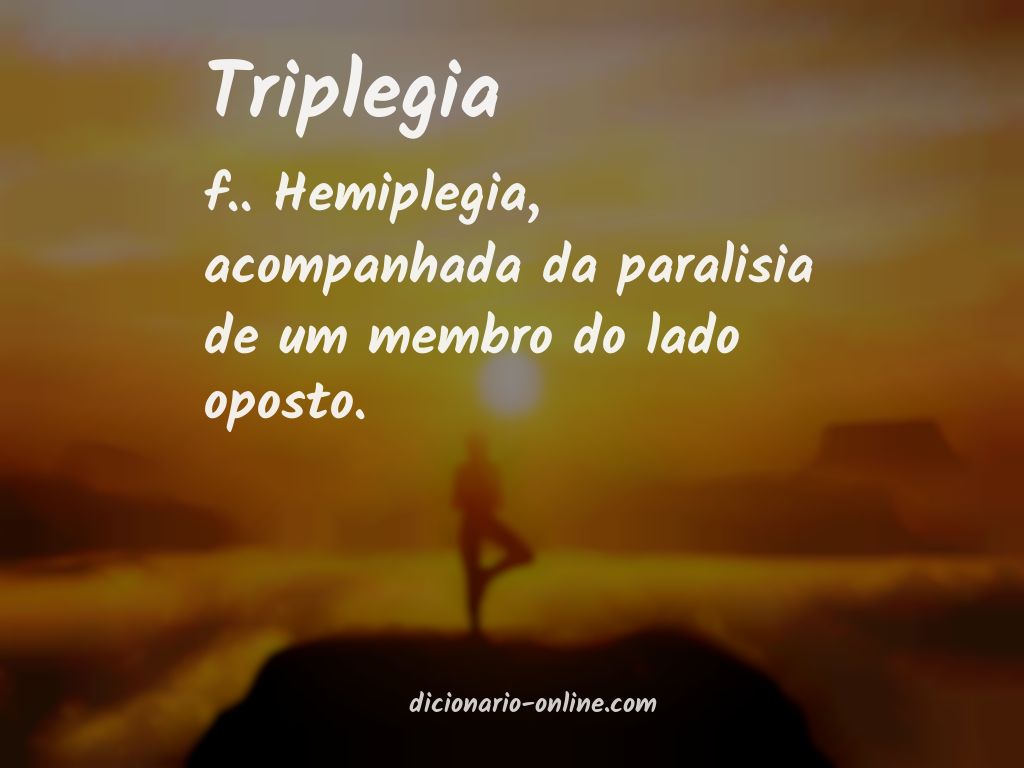 Significado de triplegia