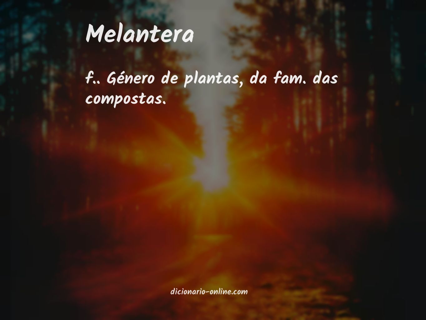 Significado de melantera