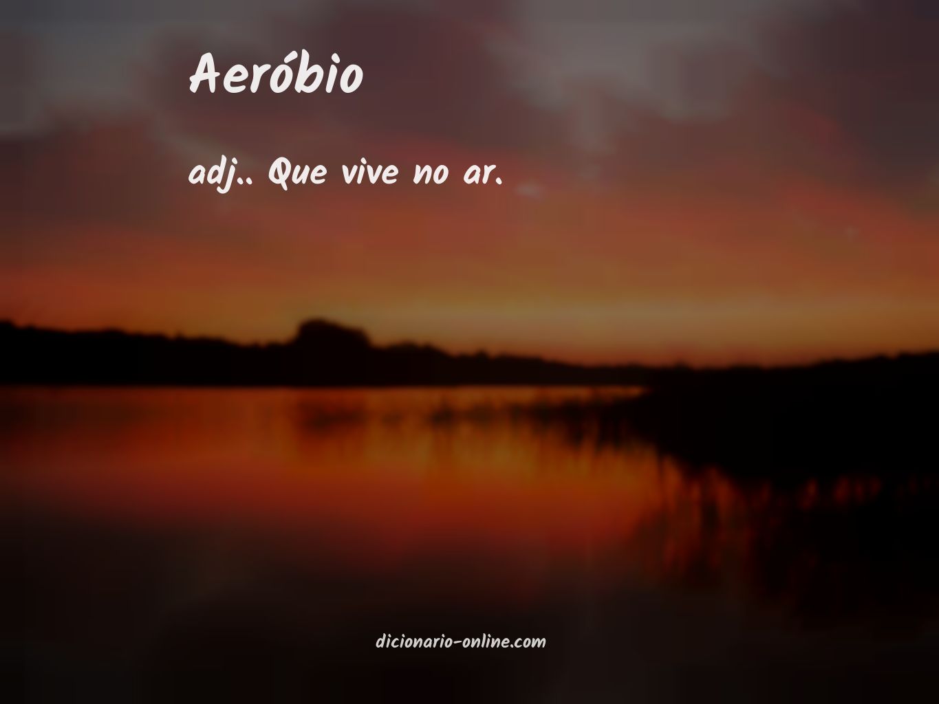 Significado de aeróbio