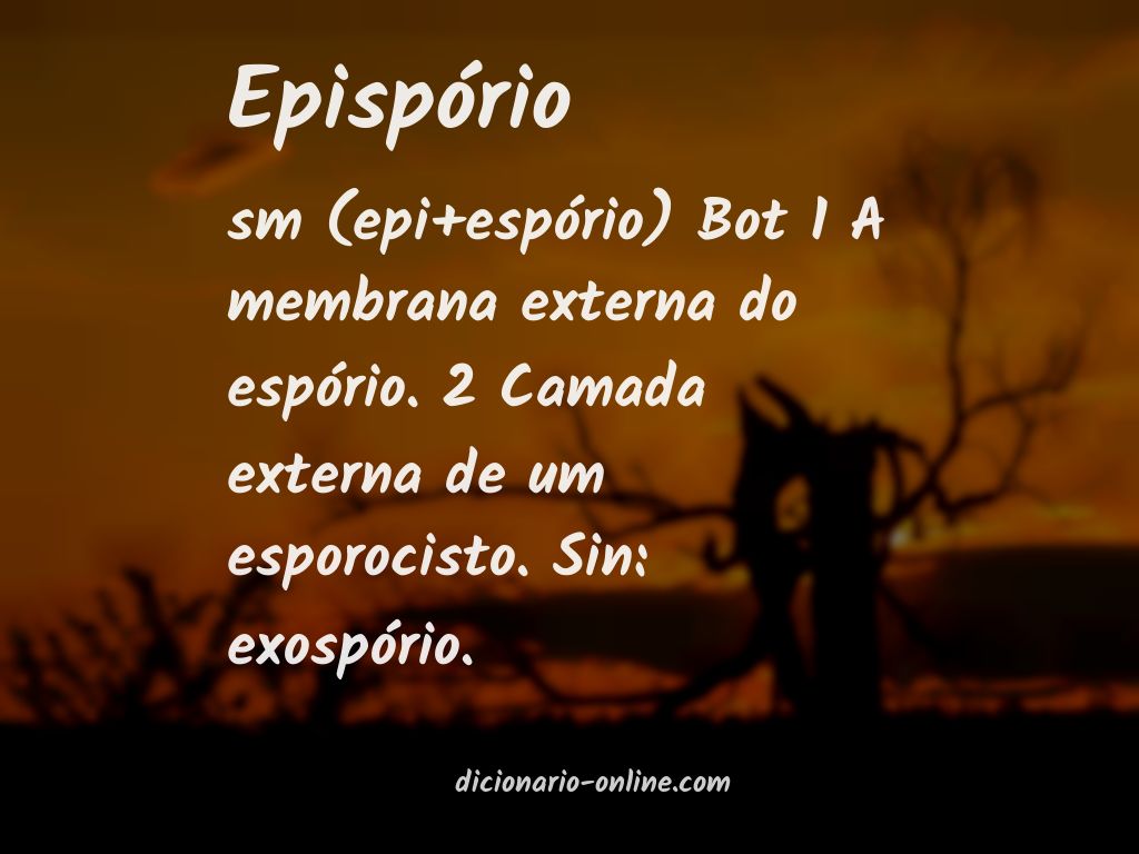 Significado de epispório