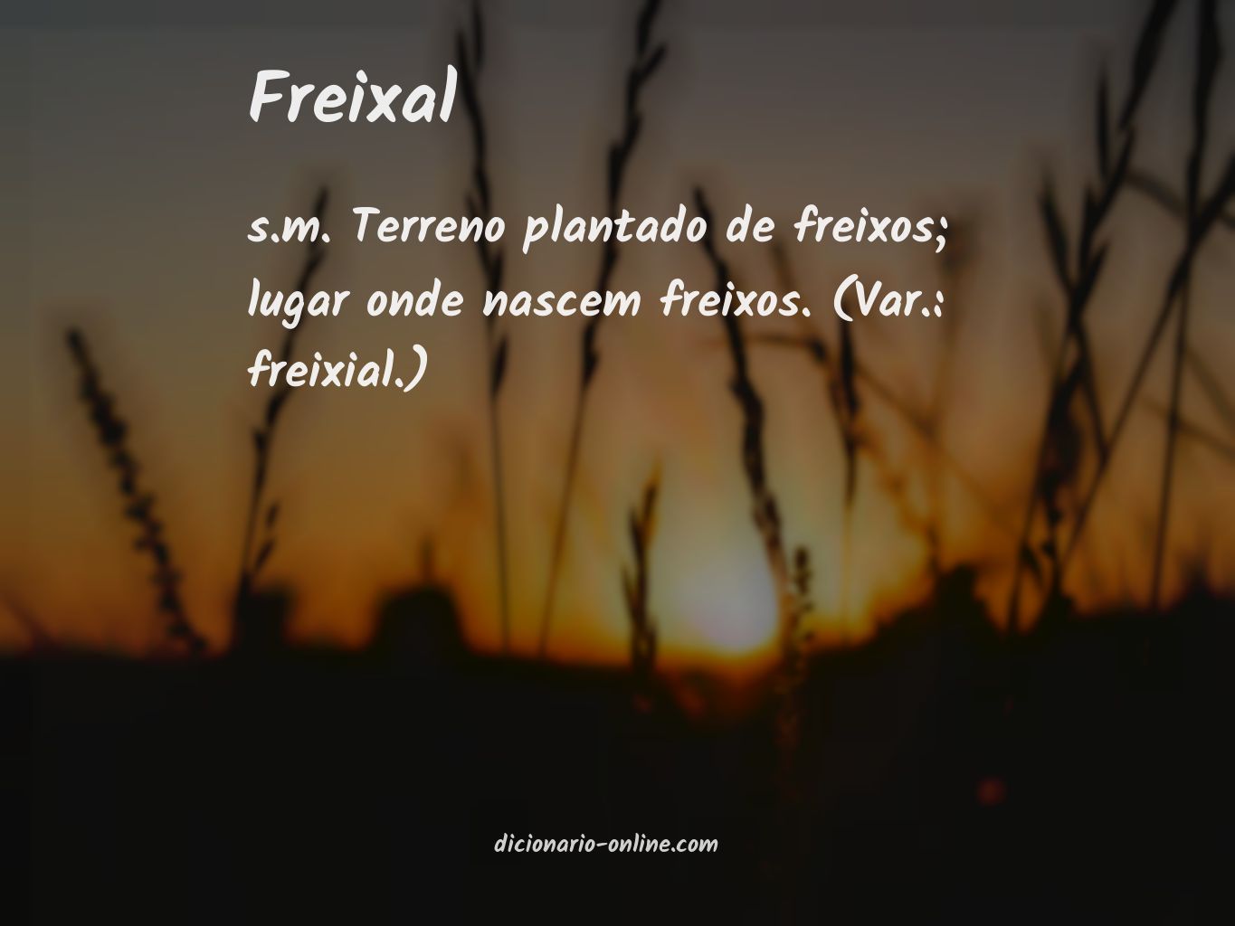 Significado de freixal