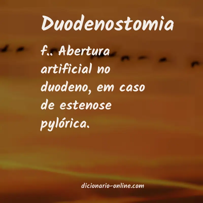 Significado de duodenostomia