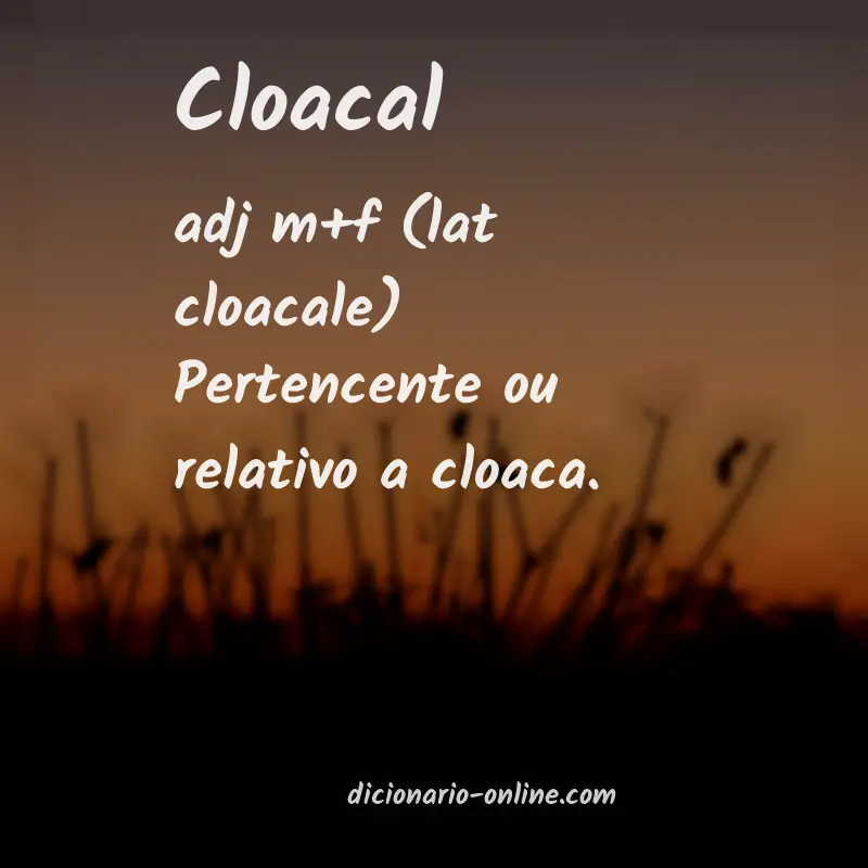 Significado de cloacal