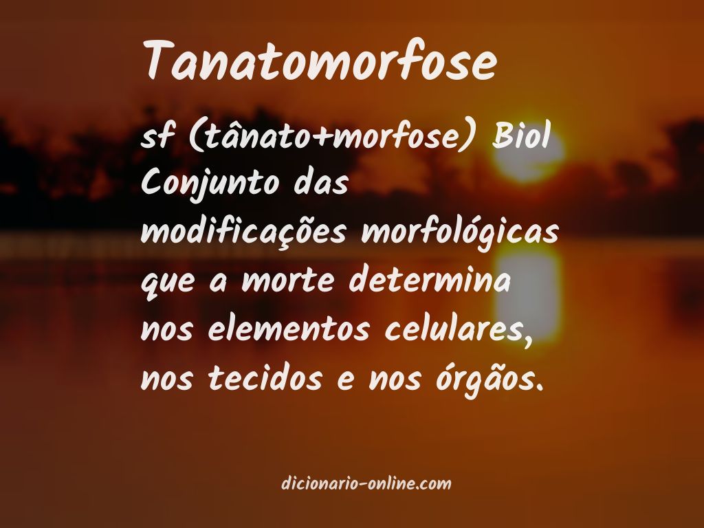 Significado de tanatomorfose