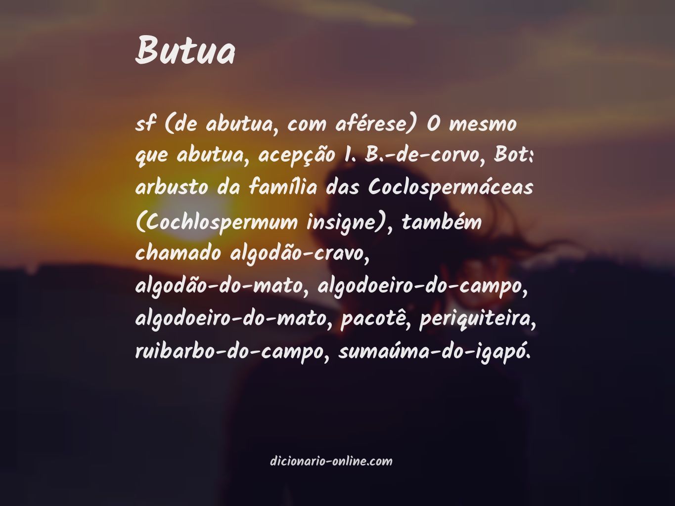 Significado de butua