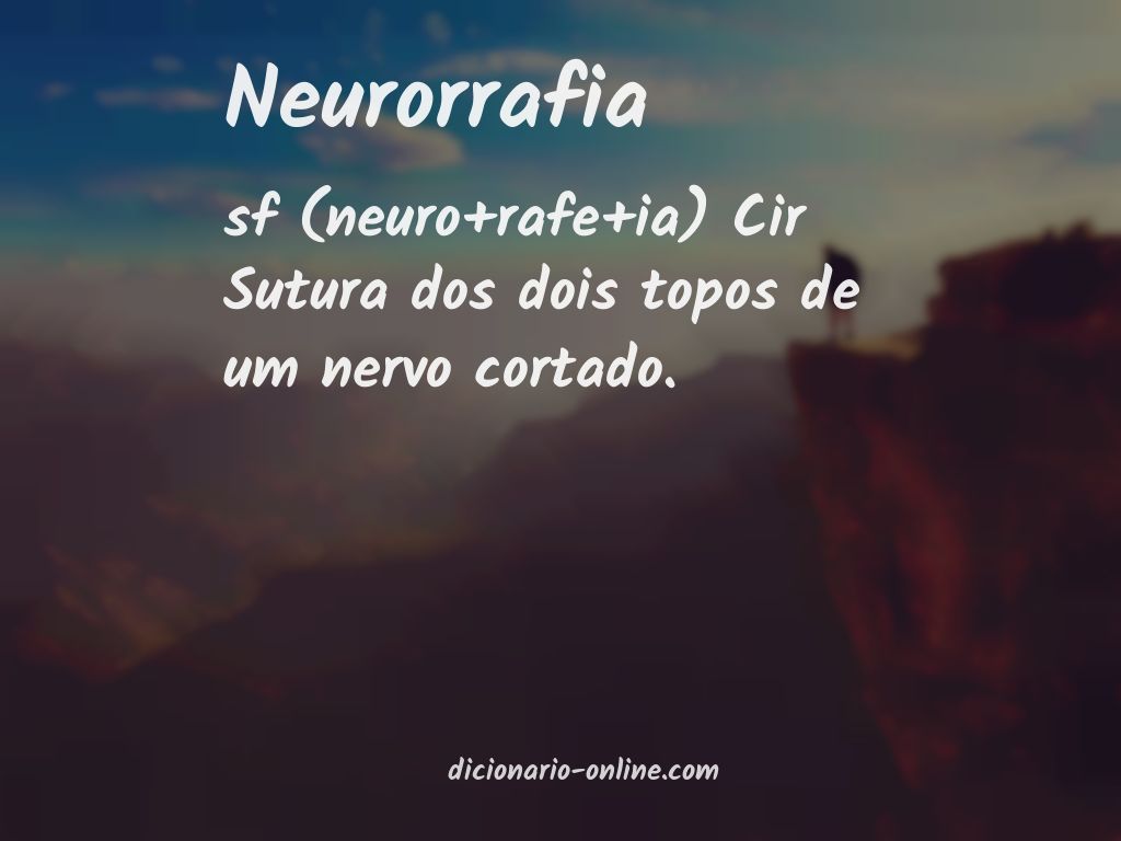 Significado de neurorrafia