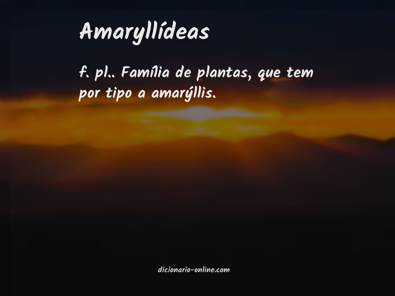 Significado de amaryllídeas