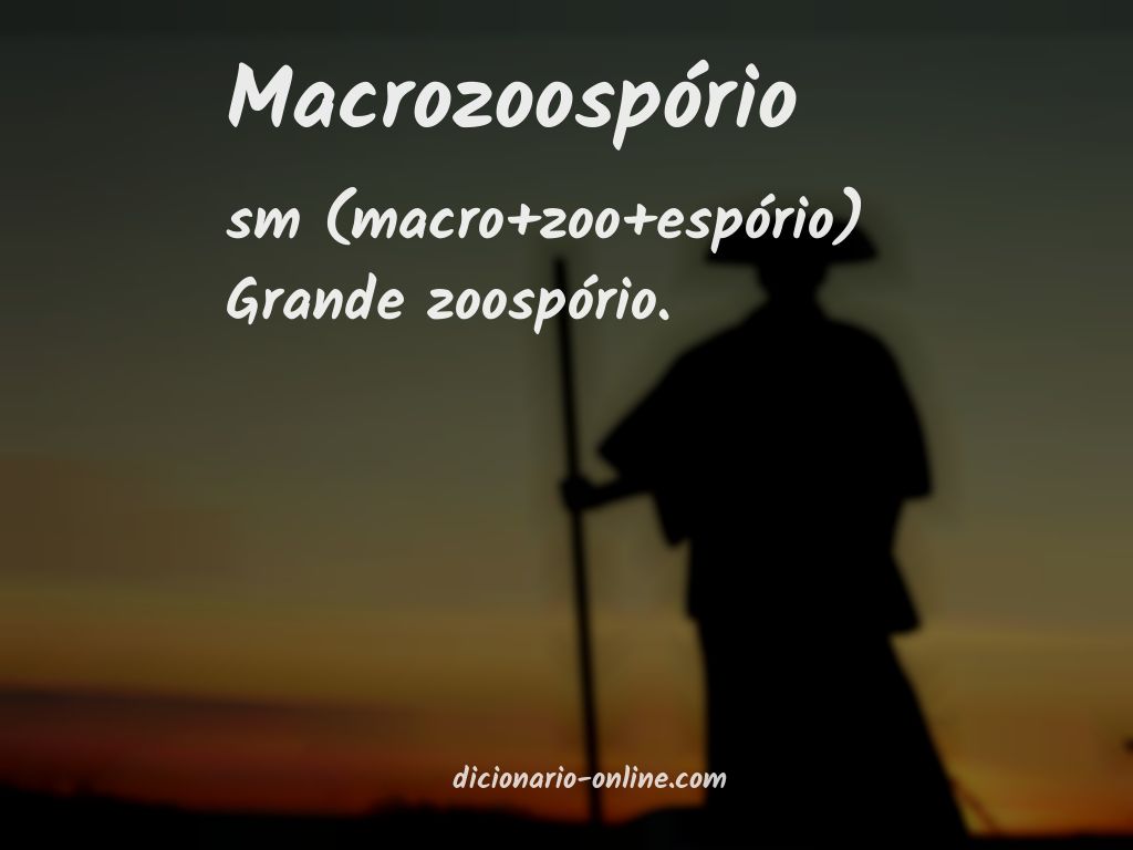 Significado de macrozoospório