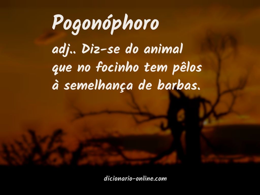 Significado de pogonóphoro