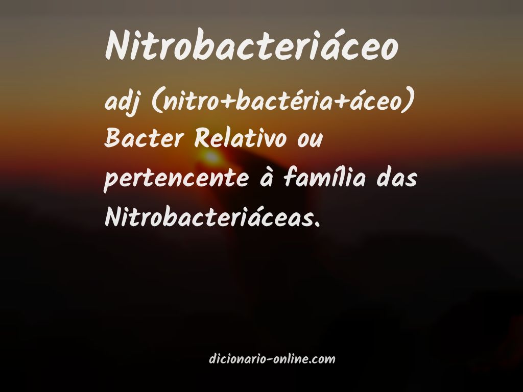 Significado de nitrobacteriáceo