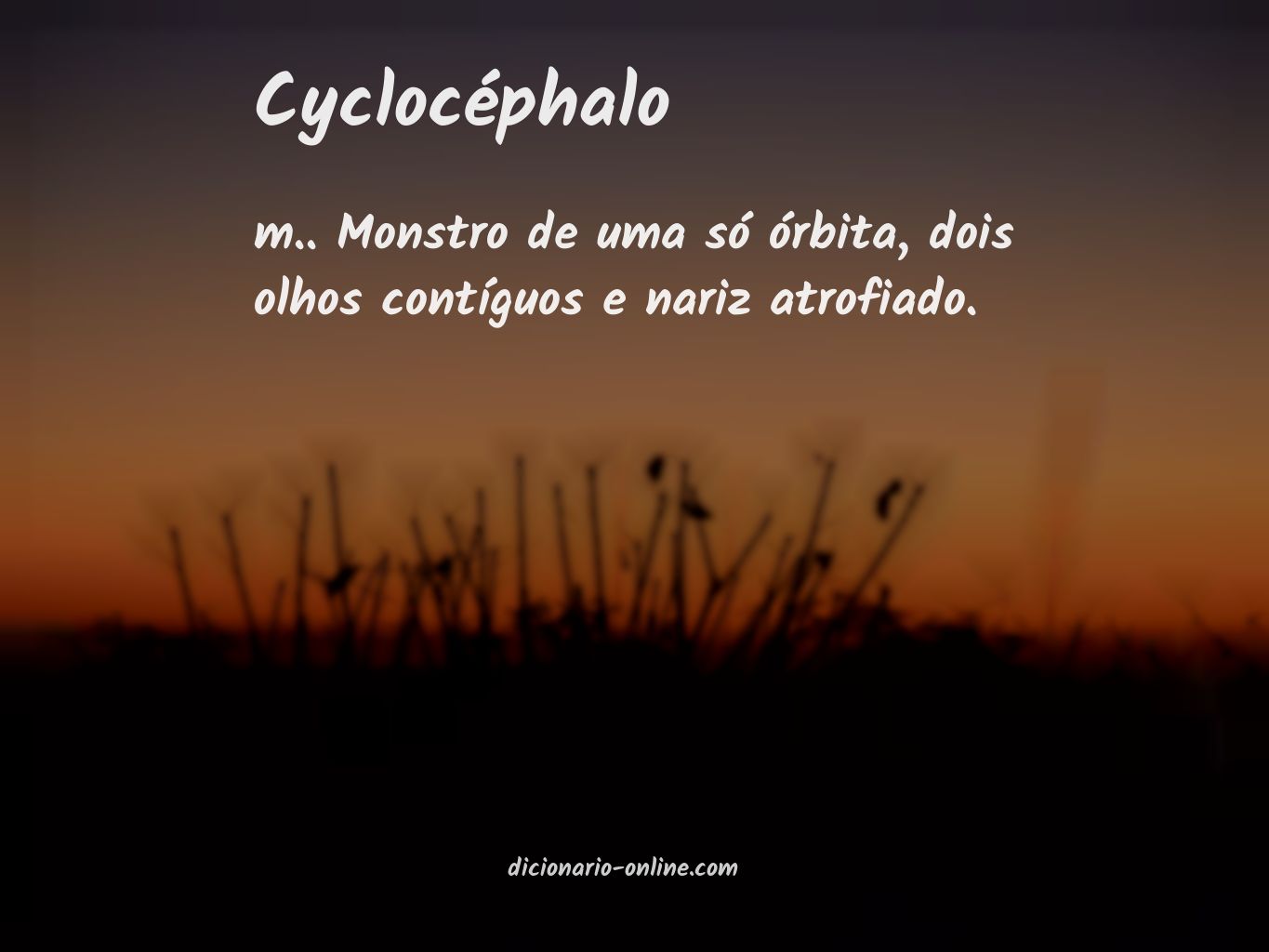 Significado de cyclocéphalo