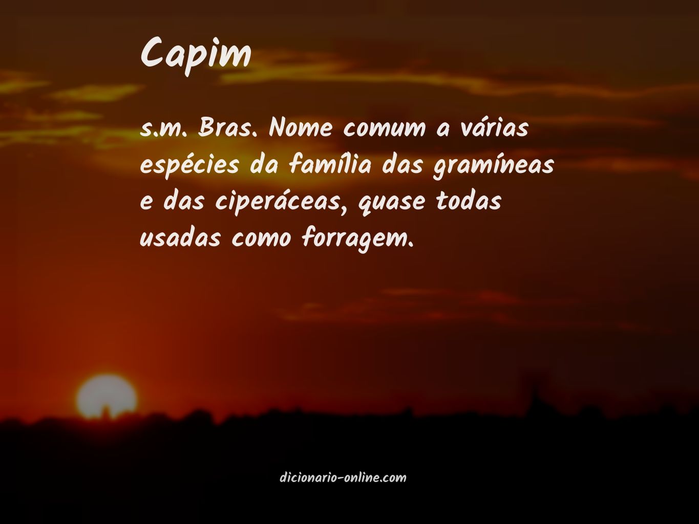 Significado de capim