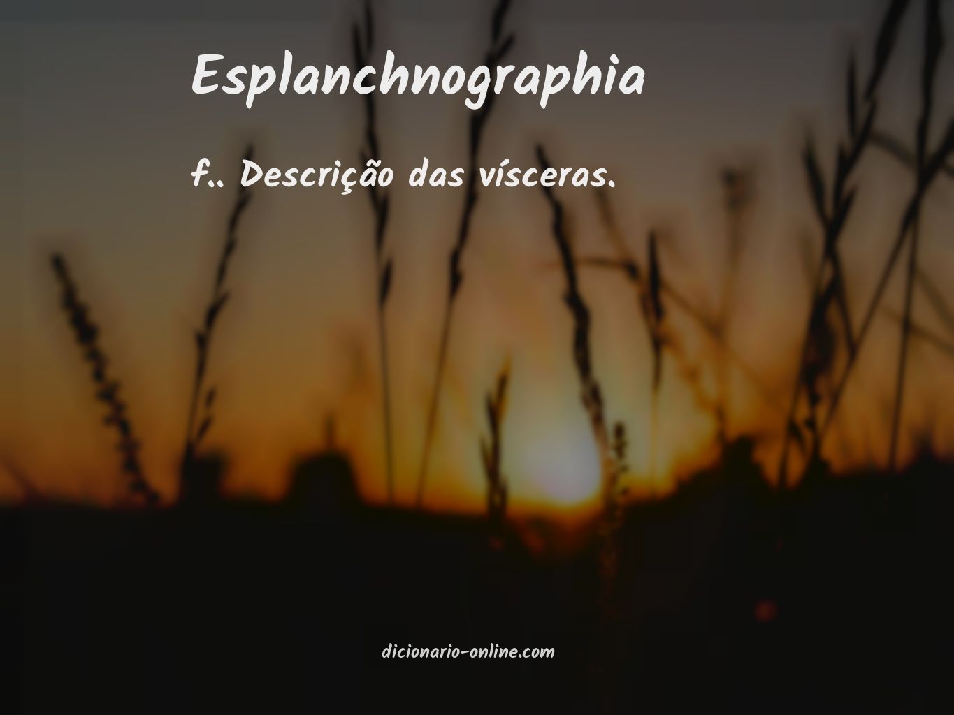 Significado de esplanchnographia