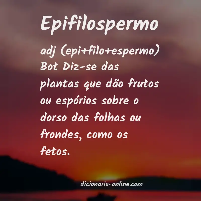 Significado de epifilospermo