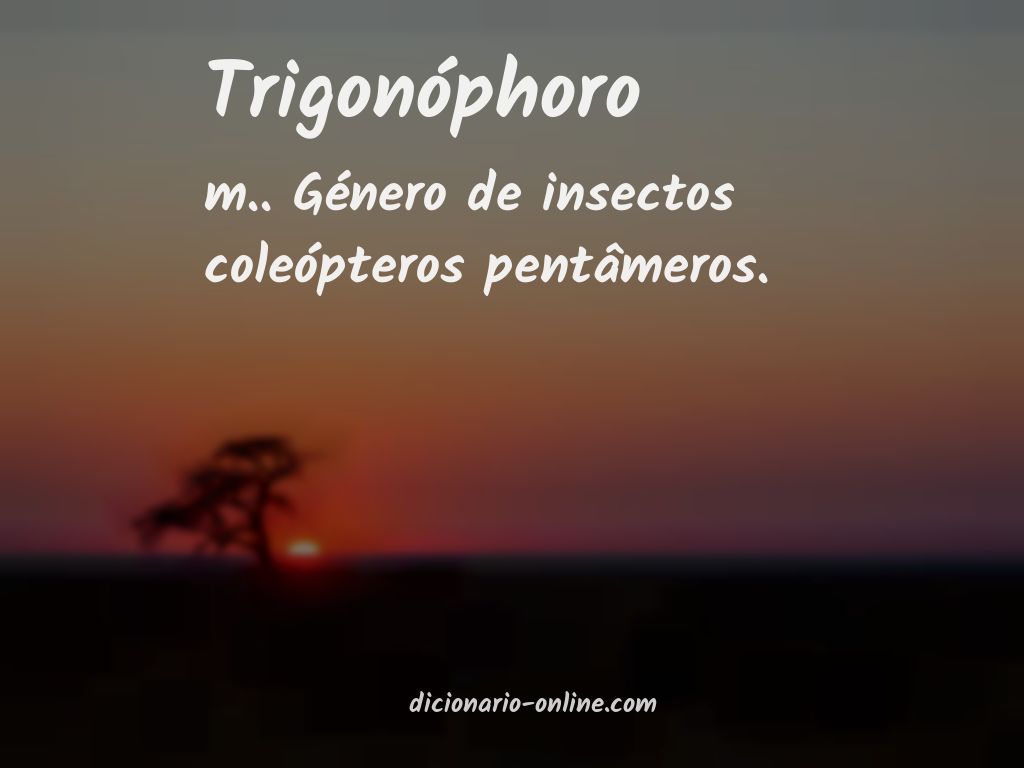 Significado de trigonóphoro