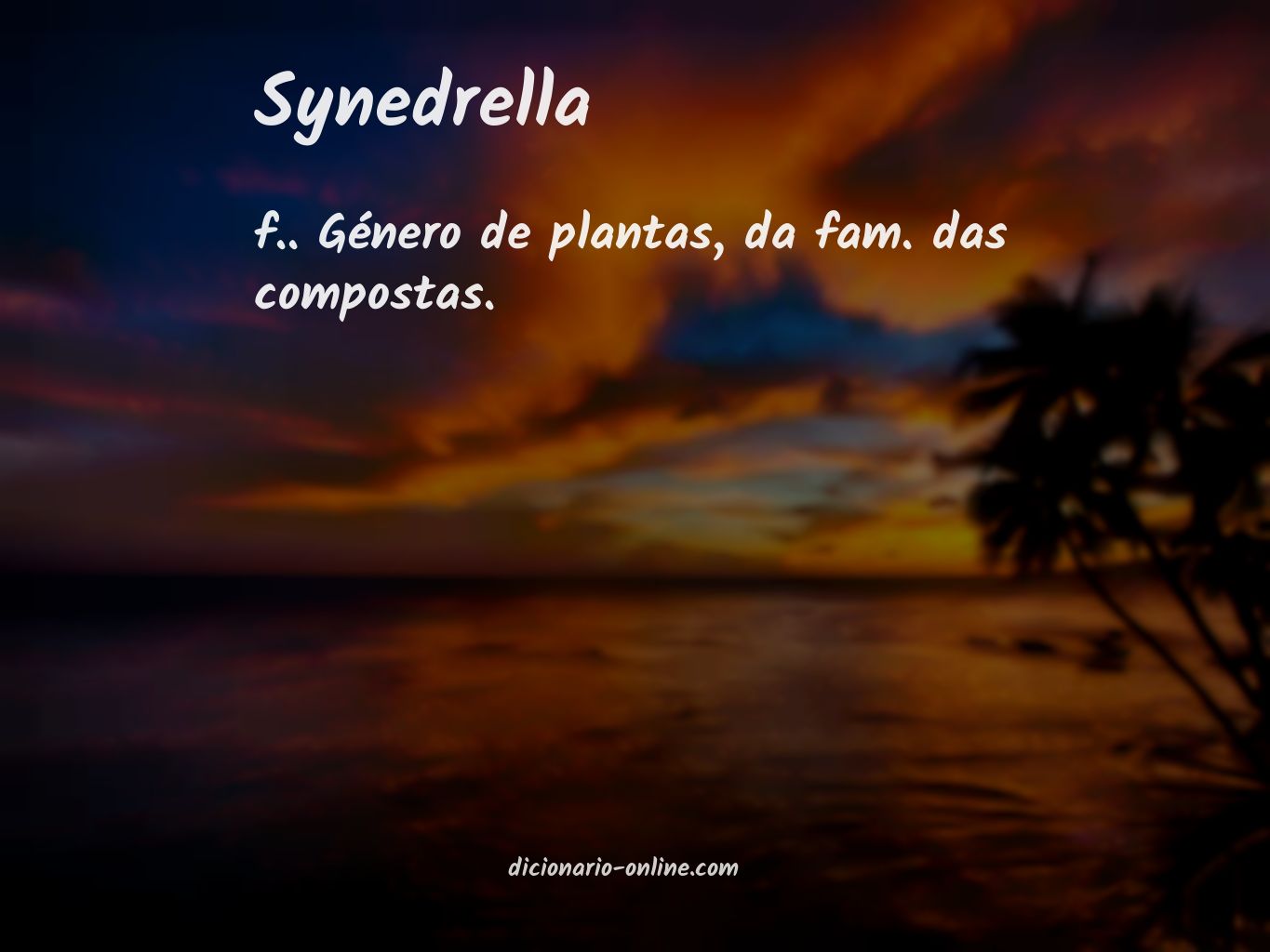 Significado de synedrella