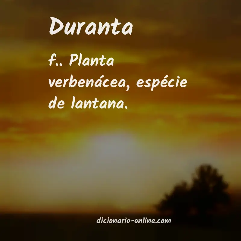 Significado de duranta