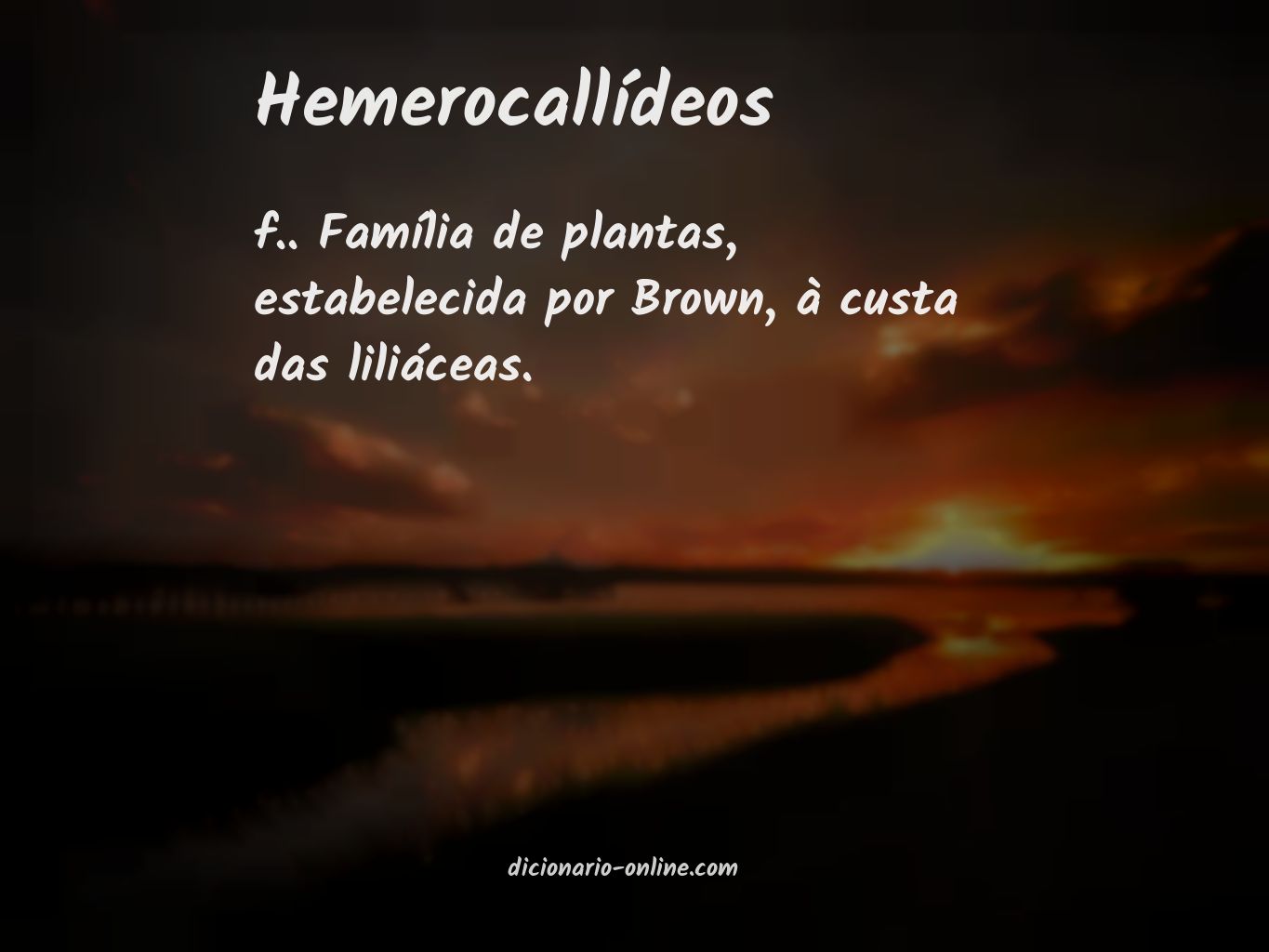 Significado de hemerocallídeos