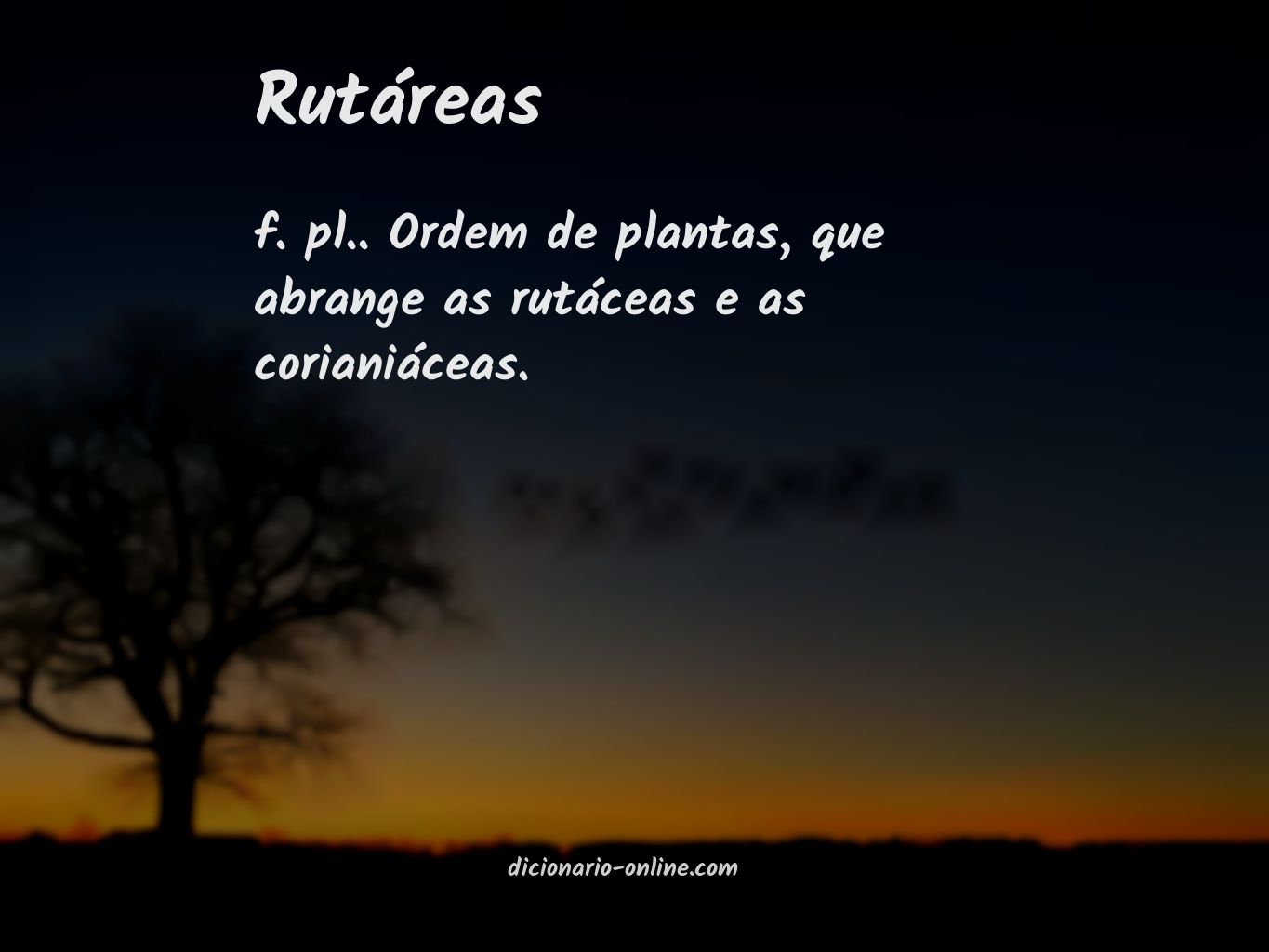 Significado de rutáreas