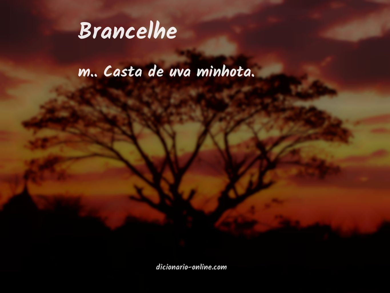 Significado de brancelhe