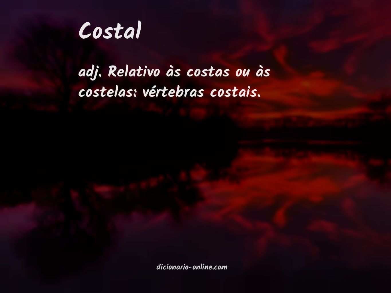 Significado de costal