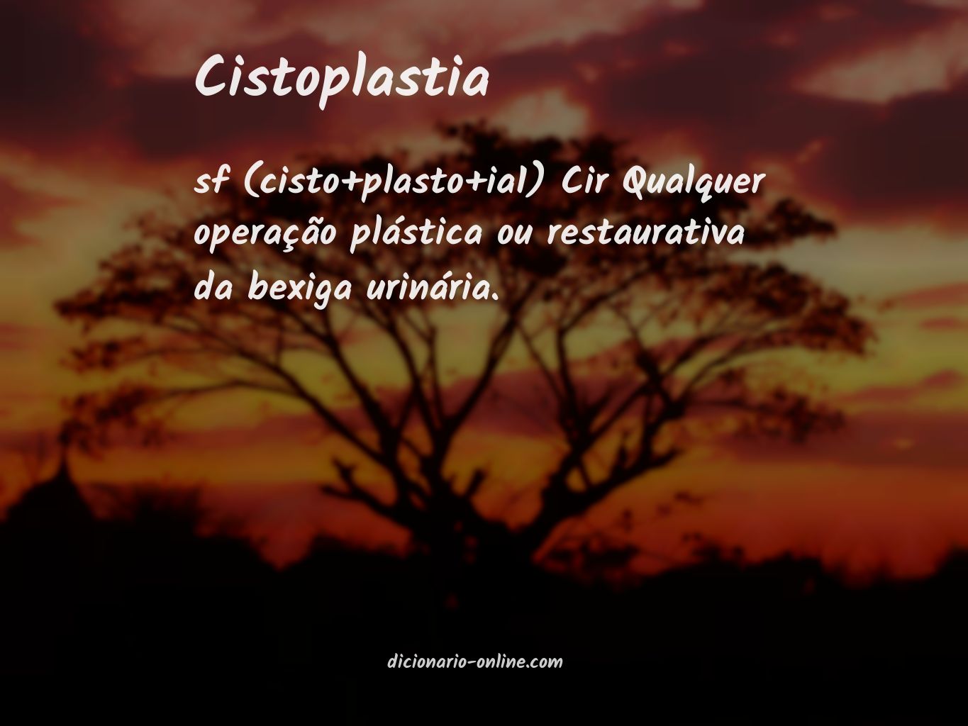 Significado de cistoplastia