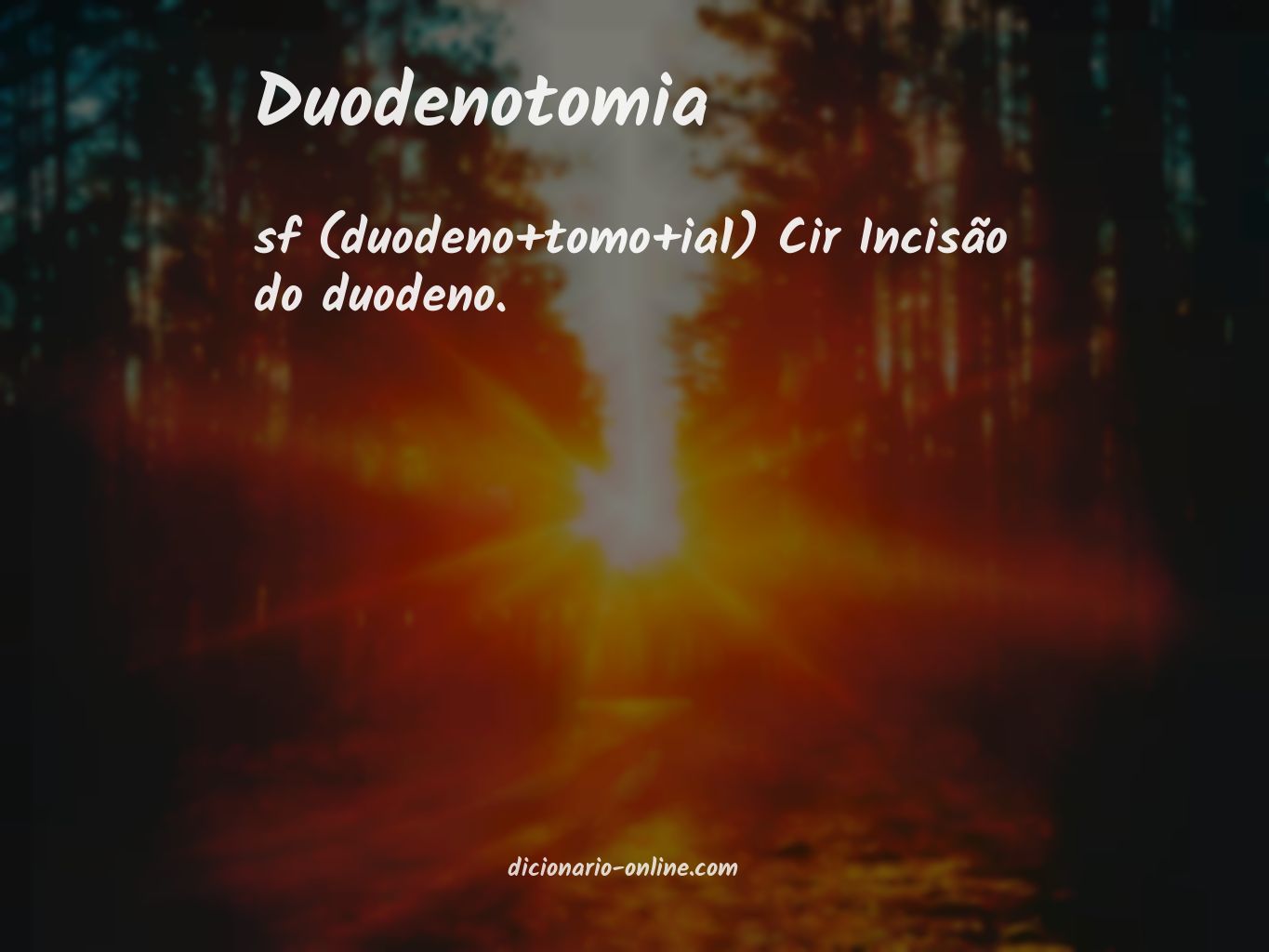 Significado de duodenotomia