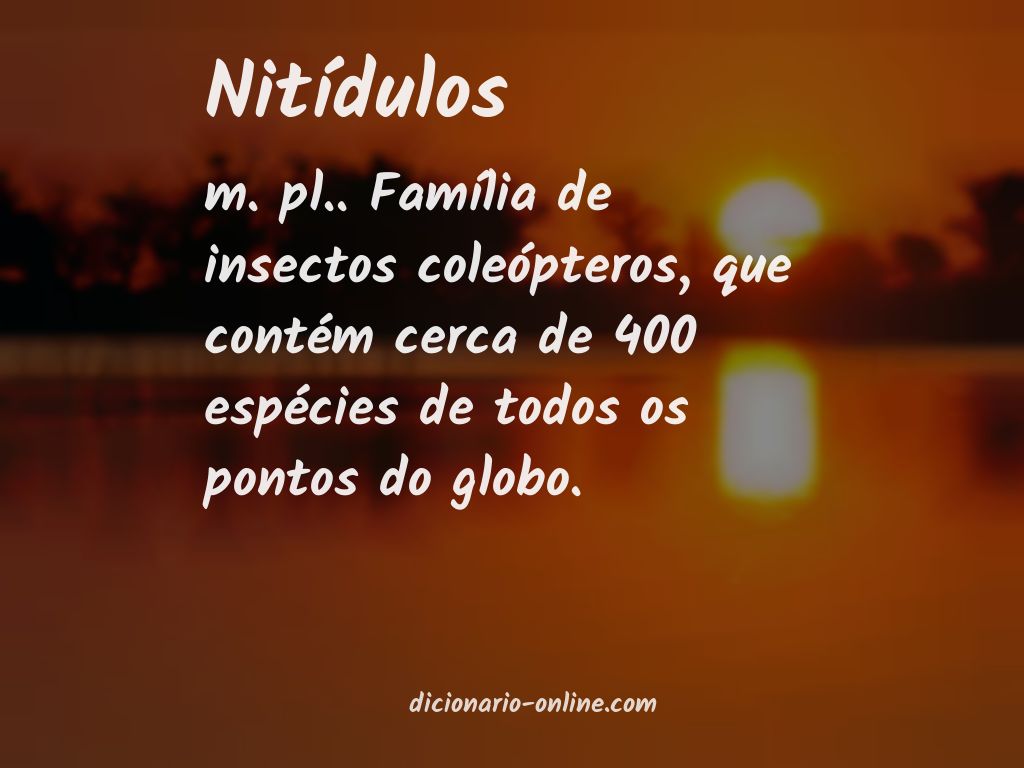 Significado de nitídulos