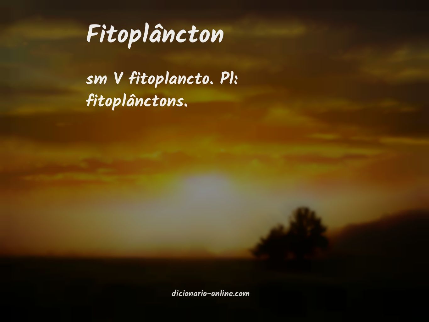 Significado de fitoplâncton