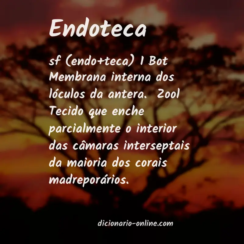 Significado de endoteca