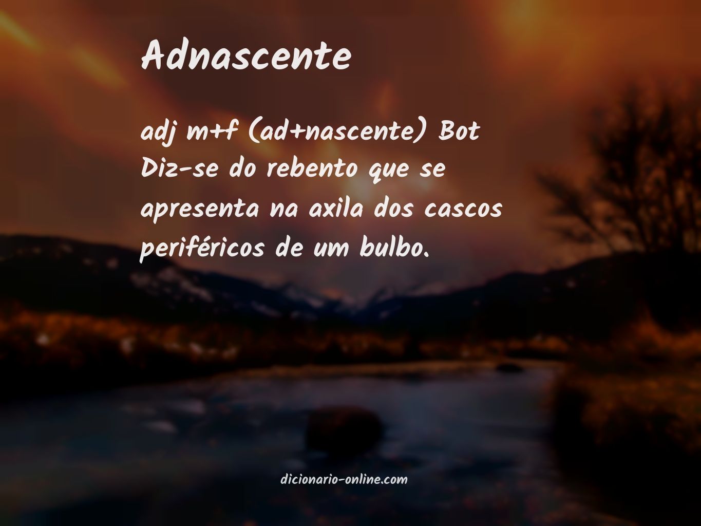 Significado de adnascente