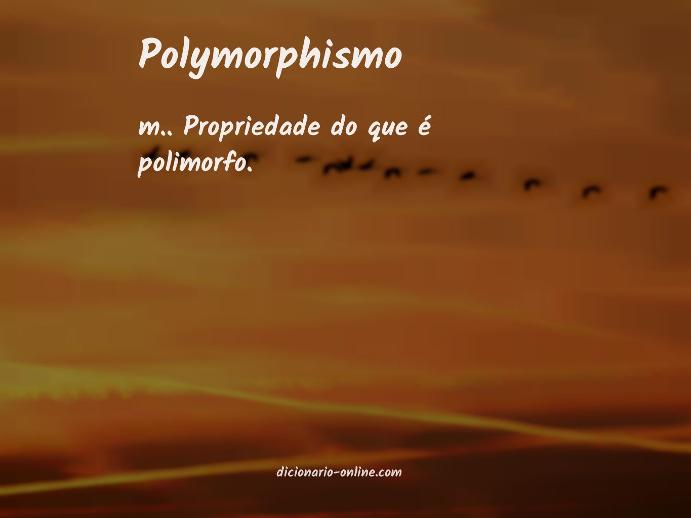 Significado de polymorphismo