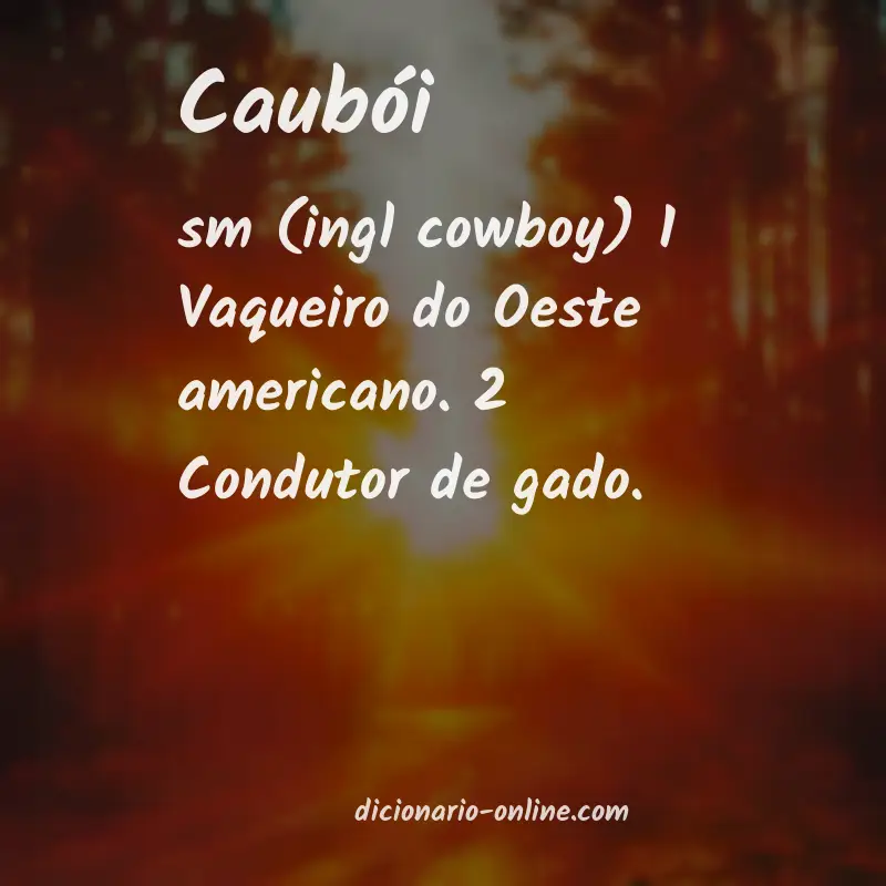 Significado de caubói