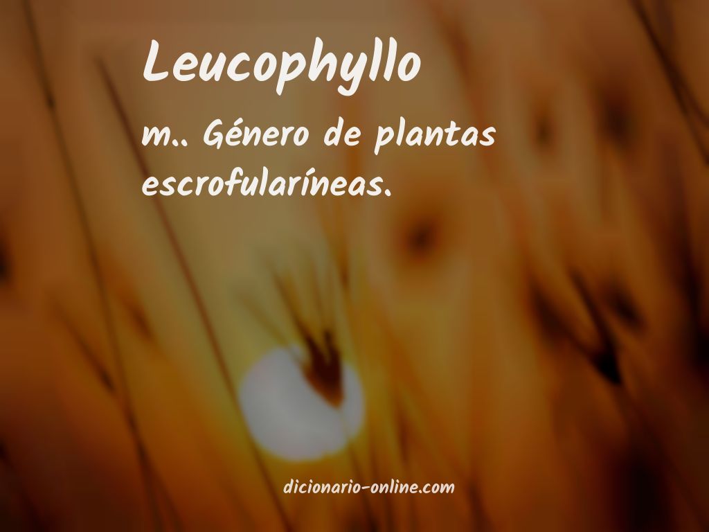 Significado de leucophyllo