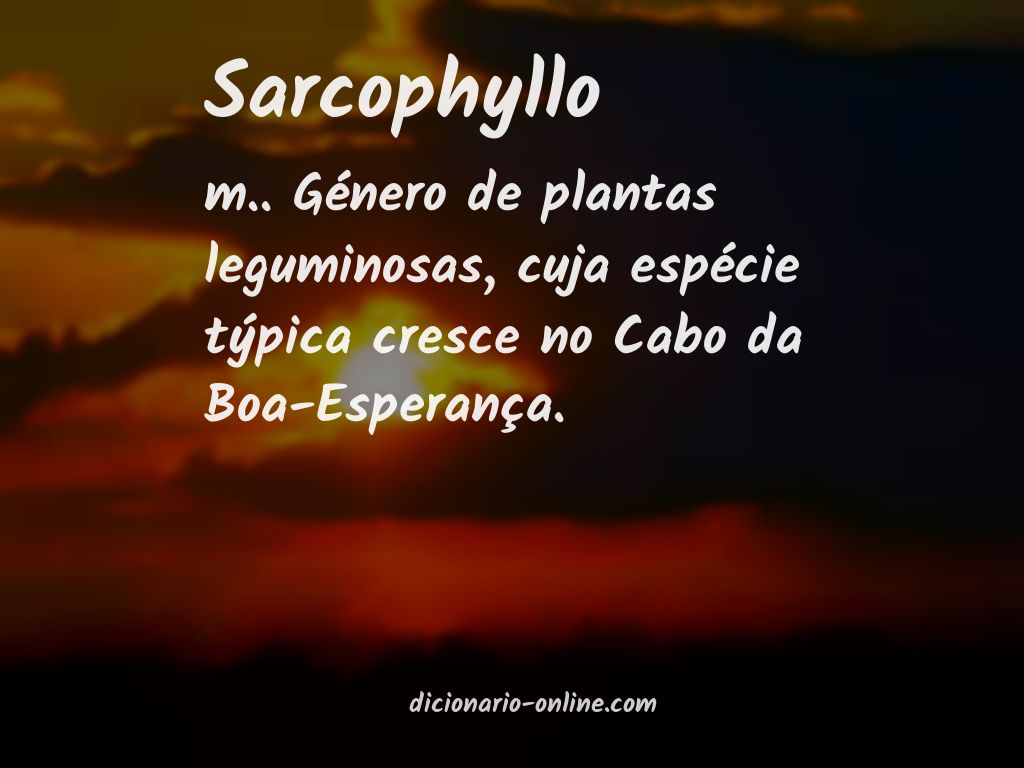 Significado de sarcophyllo