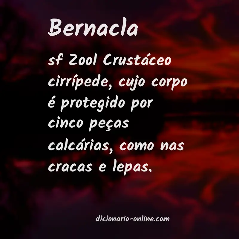 Significado de bernacla