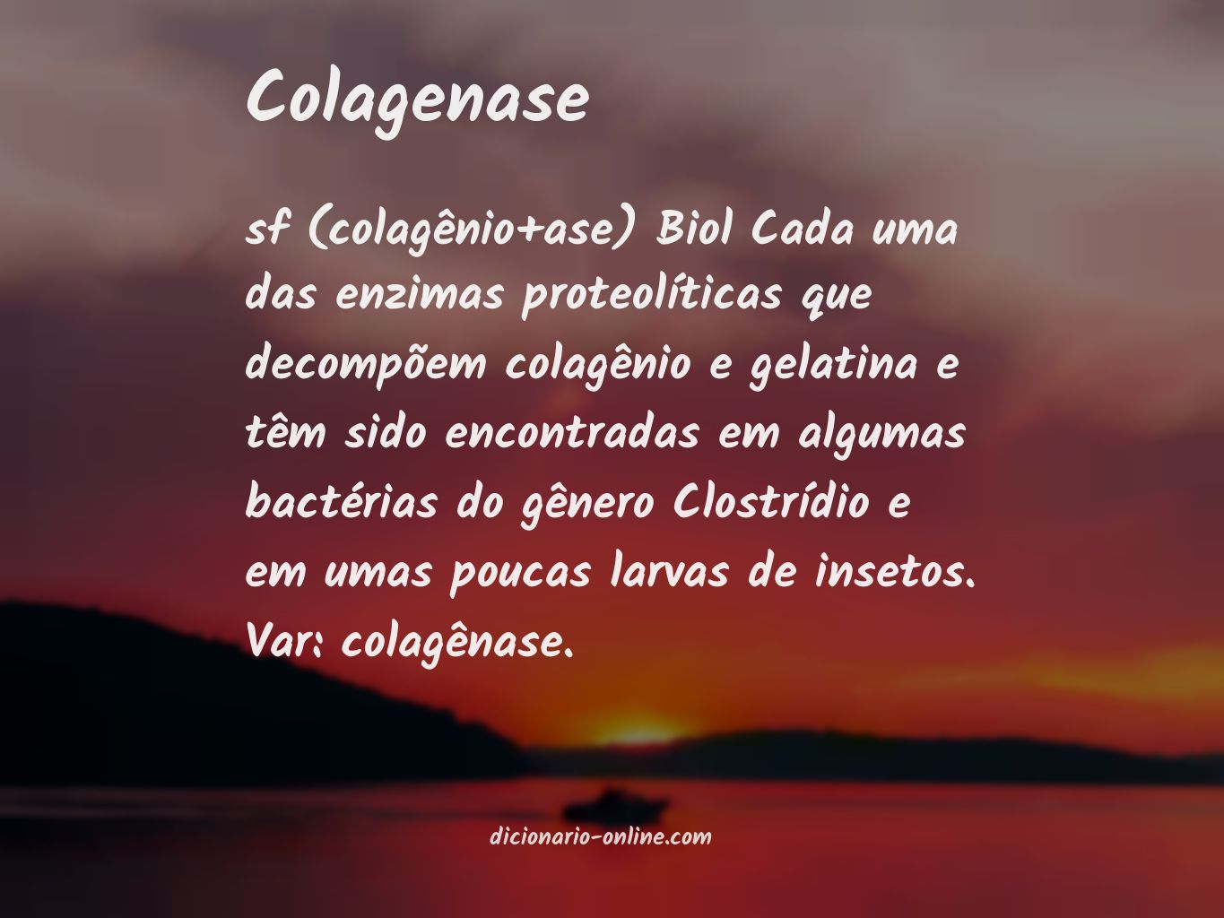 Significado de colagenase
