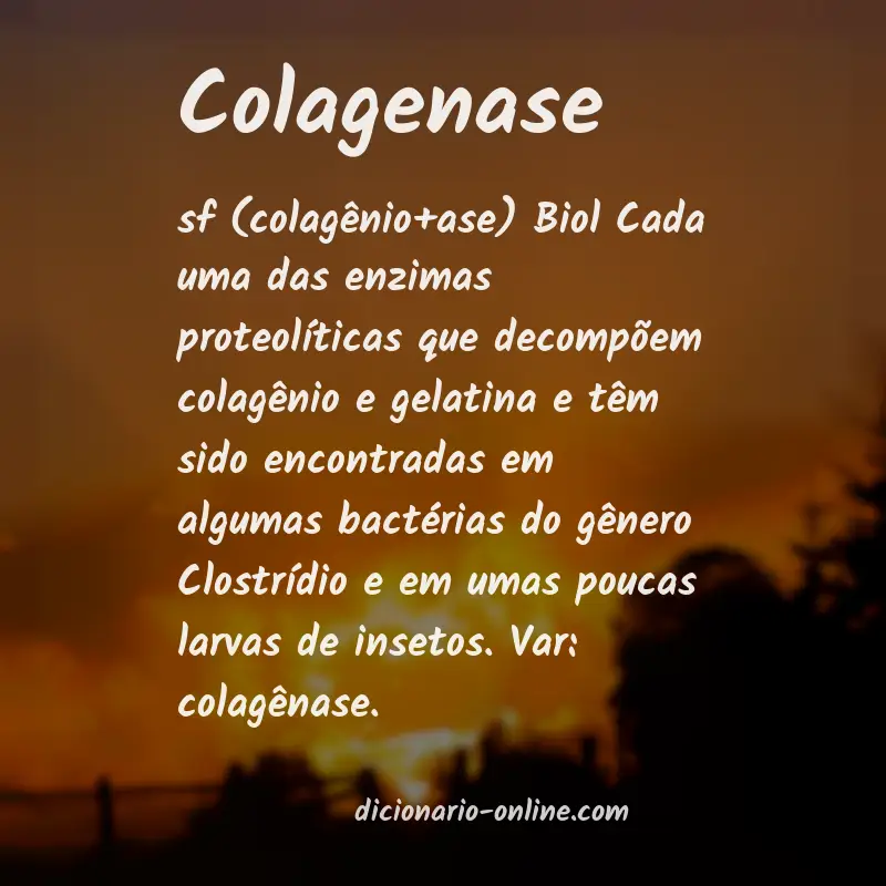 Significado de colagenase