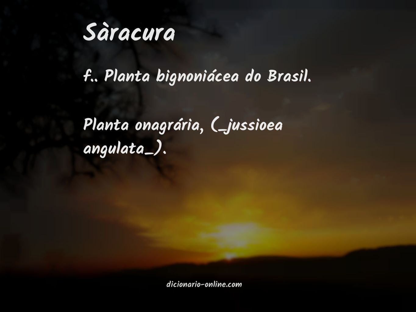 Significado de sàracura