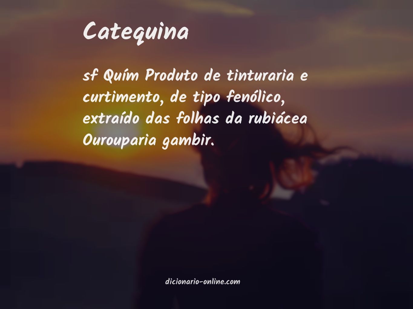 Significado de catequina